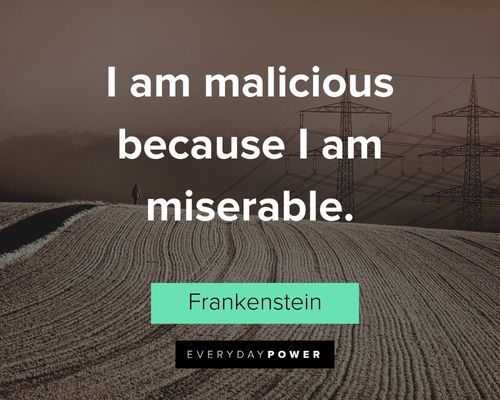 Frankenstein quotes about I am malicious because I am miserable