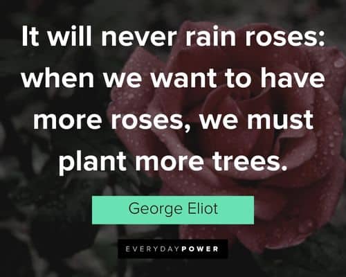 garden quotes about it will never rain roses: when we want to have more roses, we must plant more trees