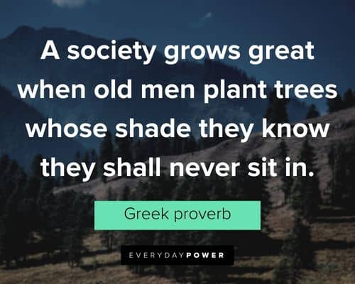 garden quotes about a society grows great when old men plant trees whose shade
