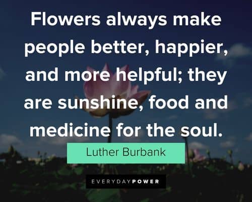 garden quotes being happier and more helpful