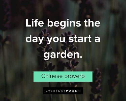 garden quotes about life begins the day you start a garden