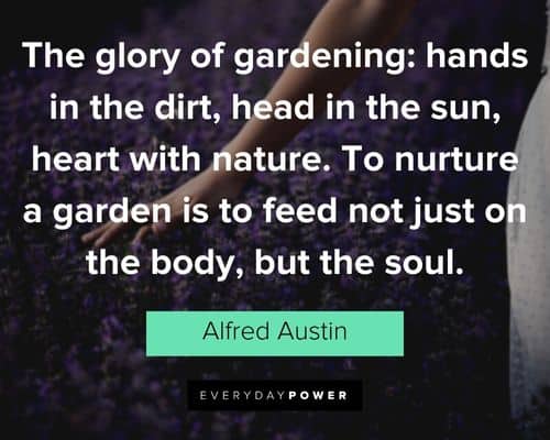 garden quotes that will make your day 