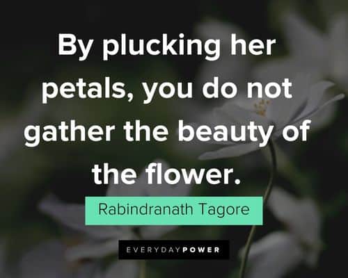 64 Inspiring Gardening Quotes (Garden Therapy Sayings)