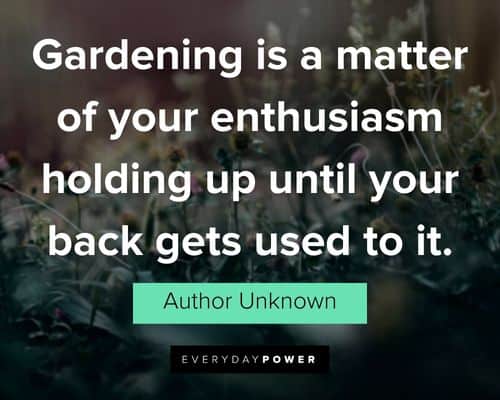 garden quotes about gardening is a matter of your enthusiasm holding up until your back gets used to it