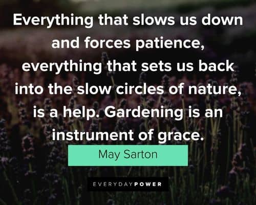 garden quotes about patience