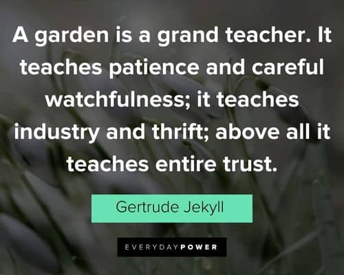garden quotes about it teaches patience and careful watchfulness