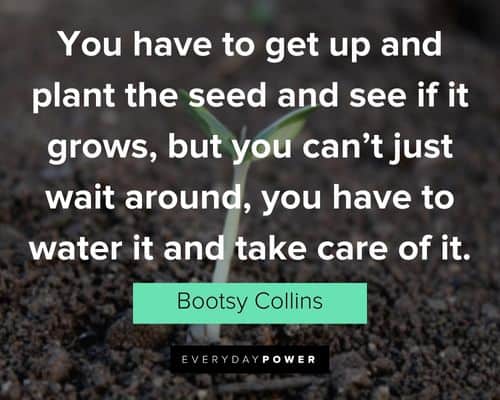 garden quotes about you have to get up and plant the seed and see if it grows