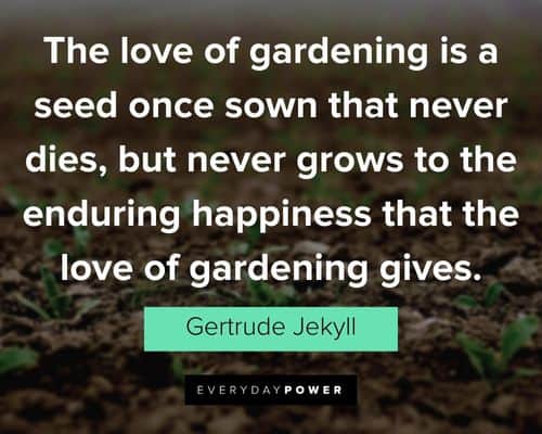 garden quotes about the love of gardening is a seed once sown that never dies