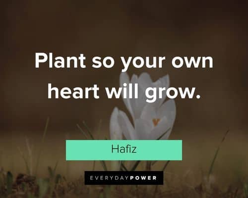 garden quotes on plant so your own heart will grow