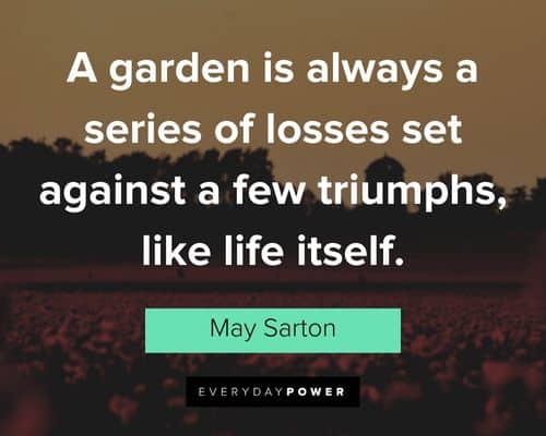 garden quotes about a garden is always a series of losses set against a few triumphs, like life itself