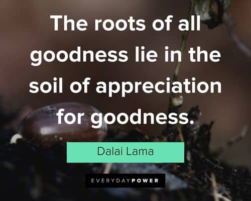 garden quotes about the roots of all goodness lie in the soil of appreciation for goodness