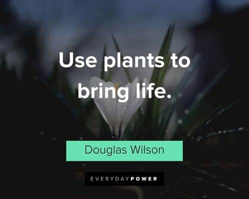 garden quotes about use plants to bring life