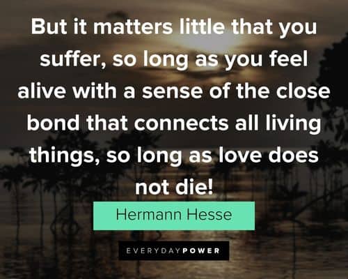 Hermann Hesse quotes that connects all living things