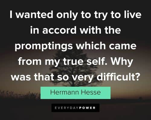 Hermann Hesse quotes about I wanted only to try to live in accord with the promptings which came from my true self