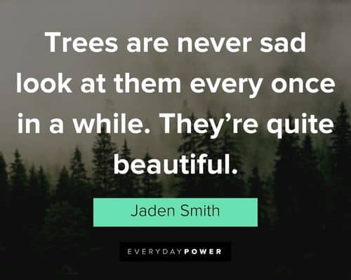 jaden smith quotes about trees