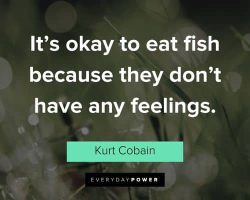 kurt cobain quotes about it’s okay to eat fish because they don’t have any feelings