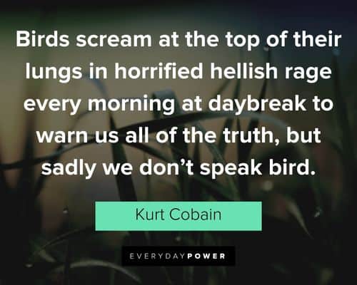 kurt cobain quotes about birds scream at the top of their lungs in horrified hellish rage every morning at daybreak