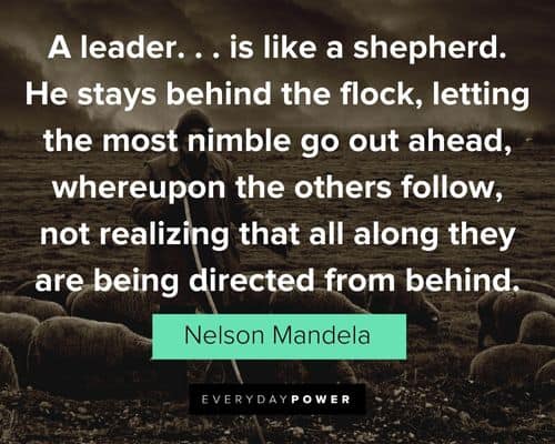leadership quotes about he stays behind the flock, letting the most nimble go out ahead