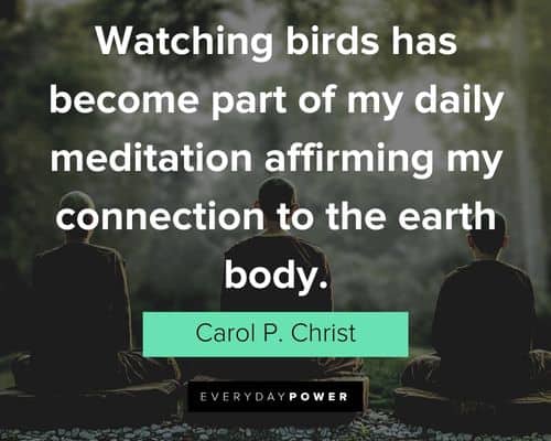 meditation quotes of my daily meditation affirming my connection to the earth body