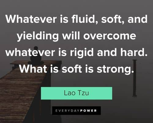 meditation quotes about whatever is fluid, soft, and yielding will overcome whatever is rigid and hard