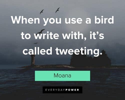 Moana quotes about when you use a bird to write with, it’s called tweeting