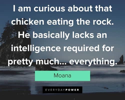 Moana quotes about I am curious about that chicken eating the rock