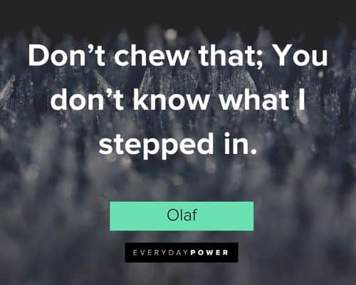 Olaf quotes about don't chew that; You don't know what I stepped in