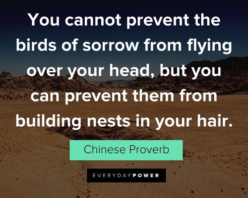 quotes about control on you can prevent them from building nests in your hair