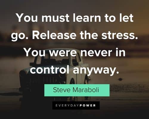 quotes about control about you must learn to let go. Release the stress. You were never in control anyway