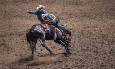 Rodeo Quotes to Bring Out Your Inner Fan