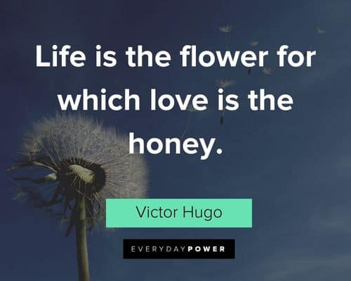 Victor Hugo quotes about life is the flower for which love is the honey