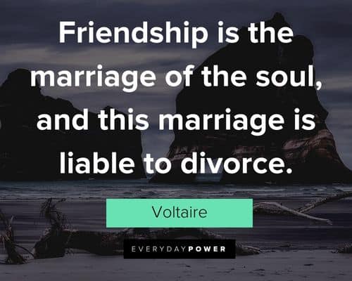 Voltaire Quotes about friendship is the marriage of the soul, and this marriage is liable to divorce