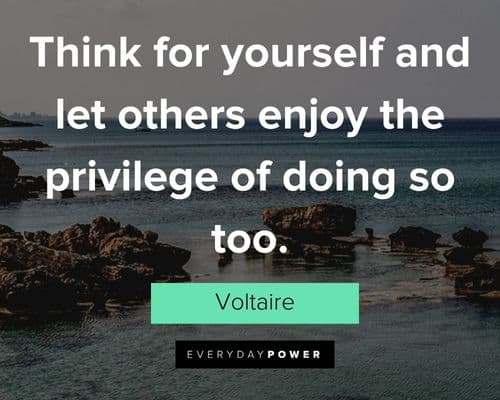 Voltaire Quotes about think for yourself and let others enjoy the privilege of doing so too