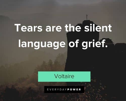 Voltaire Quotes about tears are the silent language of grief
