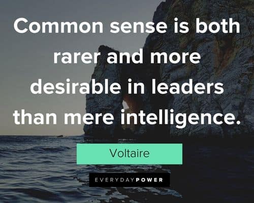 Voltaire Quotes about common sense is both rarer and more desirable in leaders than mere intelligence