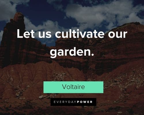 Voltaire Quotes about let us cultivate our garden