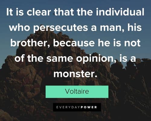 Voltaire Quotes about it is clear that the individual who persecutes a man