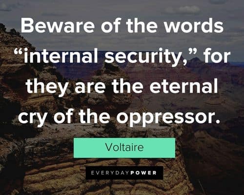 Voltaire Quotes about beware of the words "internal security," for they are the eternal cry of the oppressor