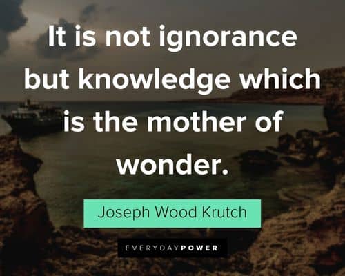 wonder quotes about it is not ignorance but knowledge which is the mother of wonder