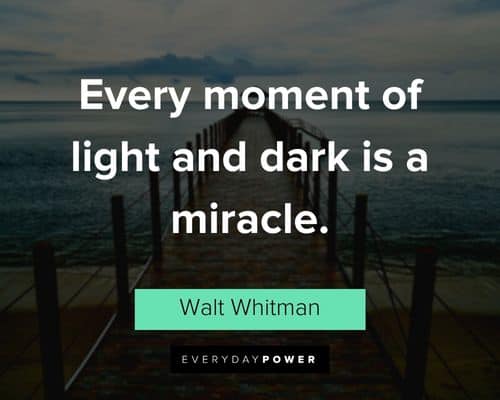 wonder quotes about every moment of light and dark is a miracle