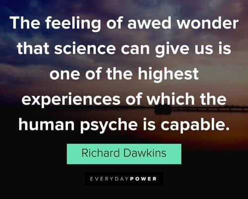 wonder quotes that science can give us is one of the highest experiences