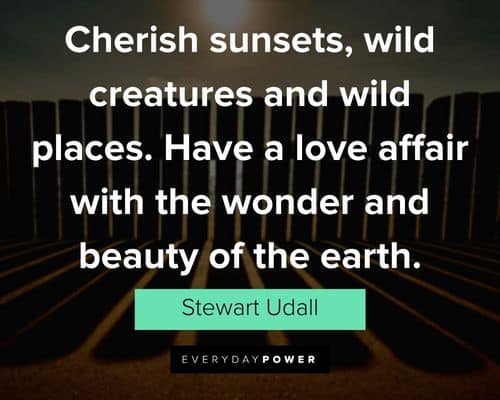 wonder quotes about cherish sunsets, wild creatures and wild places