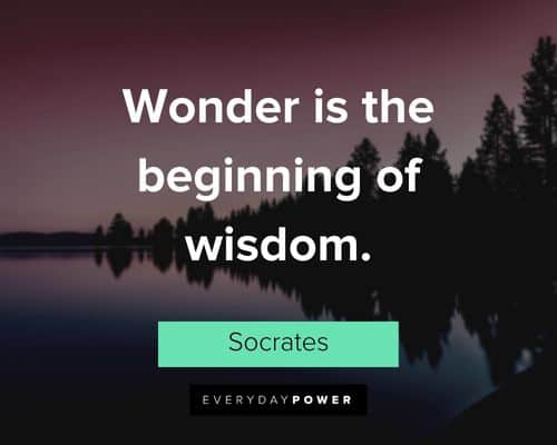 wonder quotes about wonder is the beginning of wisdom