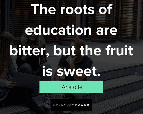back to school quotes the roots of education are bitter