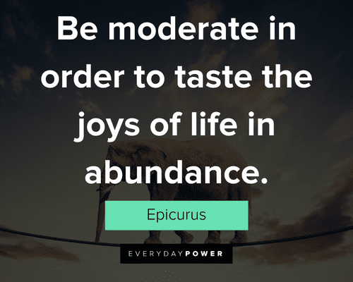 balance quotes about be moderate in order to taste the joys of life in abundance