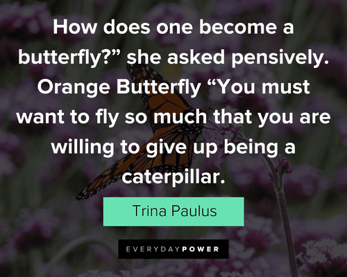 butterfly quotes about you must want to fly so much that you are willing to give up being a caterpillar