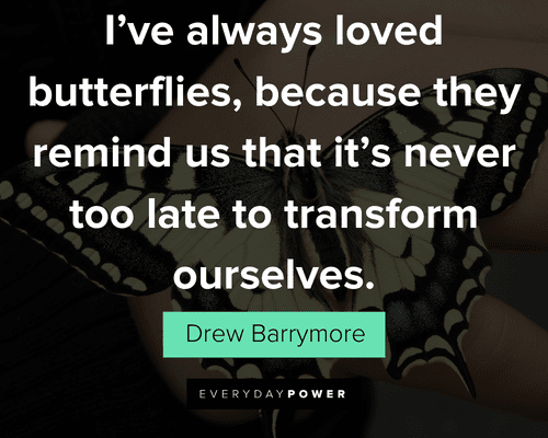 butterfly quotes about I've always loved butterflies