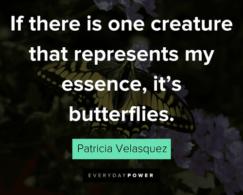 butterfly quotes about if there is one creature that represents my essence, it's butterflies