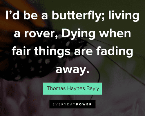 butterfly quotes about I'd be a butterfly; living a rover, Dying when fair things are fading away