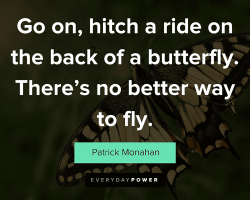 butterfly quotes about go on, hitch a ride on the back of a butterfly. There's no better way to fly